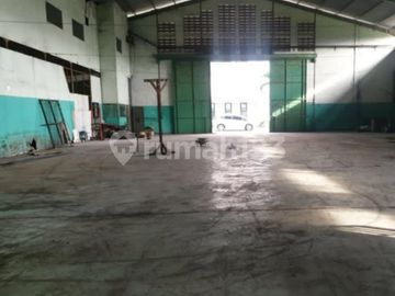 Disewakan Gudang Bersama di Sukanegara Cikupa Tangerang