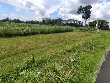 Jual Hunian Ekonomis 200 Jt-an di Manisrenggo Type 30/62, Siap KPR!