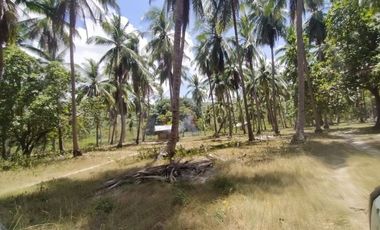 Sitio Tarabanan, Brgy. Concepcion, Puerto Princesa City, Palawan