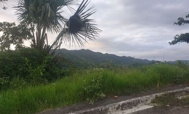 Greenwoods near Talamban Cebu City 216 Sqm Subdivision Lot for Sale