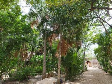Venta de terreno, Tipo Campestre, con cabañas y casa, Valladolid, ,Yuc