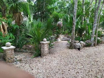 Venta de terreno, Tipo Campestre, con cabañas y casa, Valladolid, ,Yuc