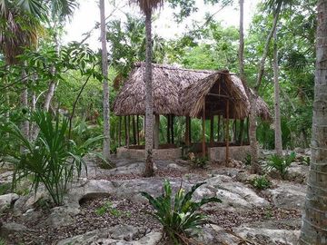 Venta de terreno, Tipo Campestre, con cabañas y casa, Valladolid, ,Yuc