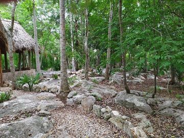 Venta de terreno, Tipo Campestre, con cabañas y casa, Valladolid, ,Yuc