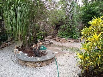 Venta de terreno, Tipo Campestre, con cabañas y casa, Valladolid, ,Yuc