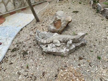 Venta de terreno, Tipo Campestre, con cabañas y casa, Valladolid, ,Yuc