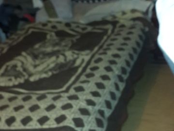 Gran Casa en Castelar Norte- Excelente Ubicación!