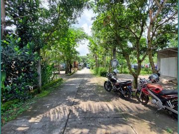 Dijual Cepat Tanah Pinggir Aspal 100Jutaan di Prambanan Klaten