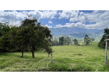 VENTA DE FINCA EN SALENTO, QUINDO, COLOMBIA