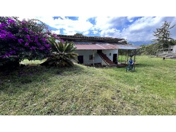VENTA DE FINCA EN SALENTO, QUINDO, COLOMBIA