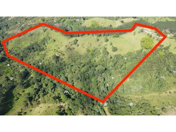 VENTA DE FINCA EN SALENTO, QUINDO, COLOMBIA