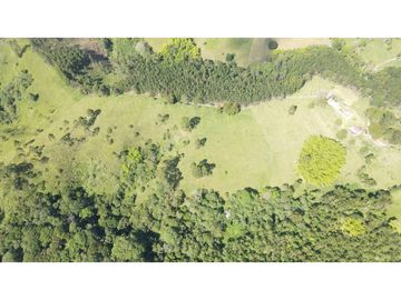 VENTA DE FINCA EN SALENTO, QUINDO, COLOMBIA