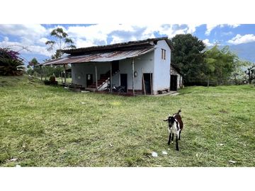 VENTA DE FINCA EN SALENTO, QUINDO, COLOMBIA