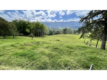 VENTA DE FINCA EN SALENTO, QUINDO, COLOMBIA
