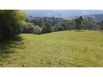 VENTA DE FINCA EN SALENTO, QUINDO, COLOMBIA