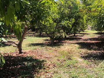 Parcela en Venta en Camino Lonquen - Camino el Oliveto