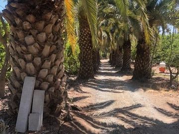 Parcela en Venta en Camino Lonquen - Camino el Oliveto