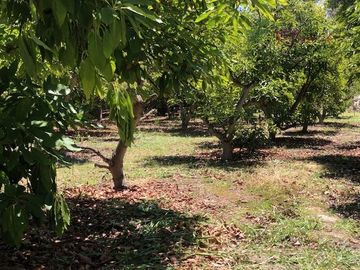 Parcela en Venta en Camino Lonquen - Camino el Oliveto