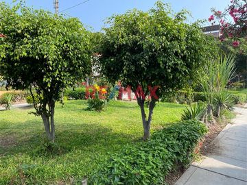 Vive en éste Exclusivo Departamento de 137.50m2 en 2do piso frente al Parque La Amistad.

Ubicado en Jirón Las Caléndulas cuadra 5 de Urbanización L
