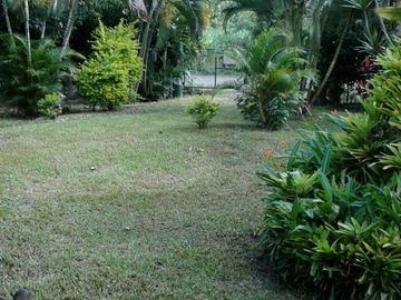 finca en venta en vereda bocas del palo. Cod V2272