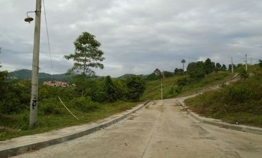426 Sqm Big Residential Lot Sale in Greenwoods Subdivision near Talamban Cebu City with Mountain View