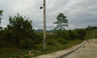 426 Sqm Big Residential Lot Sale in Greenwoods Subdivision near Talamban Cebu City with Mountain View