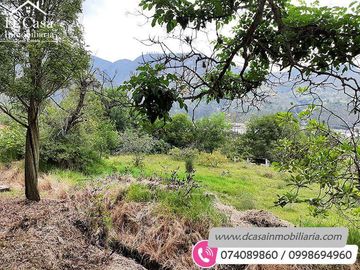 Quinta de Venta – Gualaceo – 1 héctarea (Q-114)