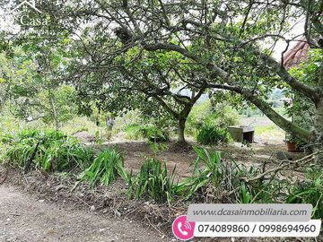 Quinta de Venta – Gualaceo – 1 héctarea (Q-114)