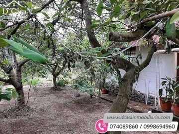 Quinta de Venta – Gualaceo – 1 héctarea (Q-114)