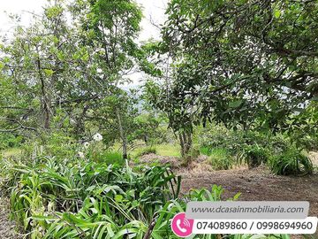 Quinta de Venta – Gualaceo – 1 héctarea (Q-114)