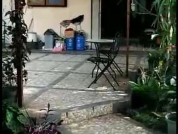 Rumah Depok Mewah Siap Huni Strategis dan Nyaman