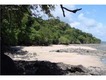 VENDO TERRENO EN LA CHORRERA CAPIRA CERMEÑO 95000MTS