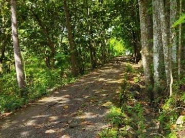 Rumah KPR minimalis satu lantai harga 200jt-an