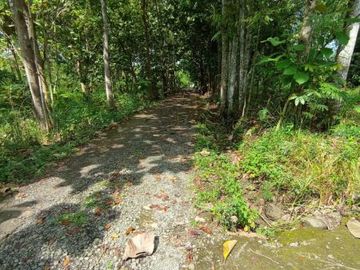 Rumah KPR minimalis satu lantai harga 200jt-an