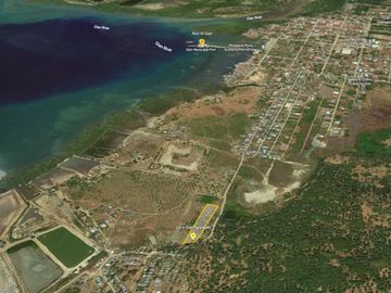 For Sale 20,000 sqm, Titled Lot in Glan, Sarangani