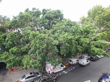Lindisimo PH con terraza Venta Reciclado Palermo