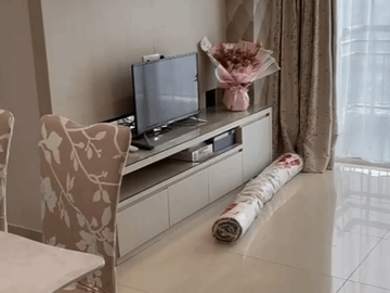 Disewa Apartemen Central Park 2+1 Br Furnished