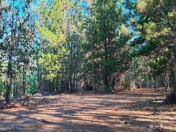 11 ha Alto Potencial de Loteo Zona en Crecimiento Licantén