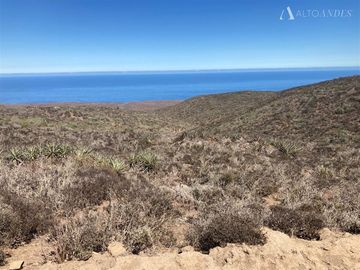 Sitio en Venta en Sector Talinay Bajo