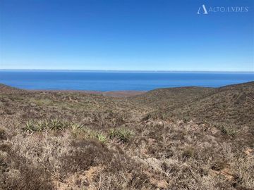 Sitio en Venta en Sector Talinay Bajo