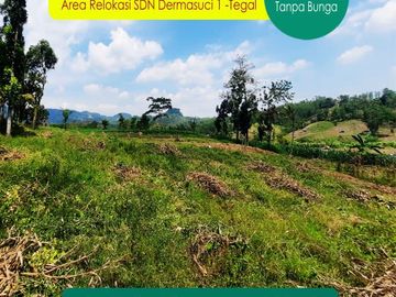 50 Jt-an : SHM Pecah Unit Area Relokasi SDN Dermasuci 1