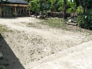 Rumah Halaman Luas dekat Jalan Raya Jogja Solo
