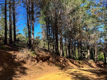 Sitio en Venta en Loteo Fundo Boyeruca, Boyeruca