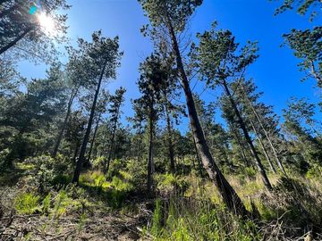 Sitio en Venta en Loteo Fundo Boyeruca, Boyeruca