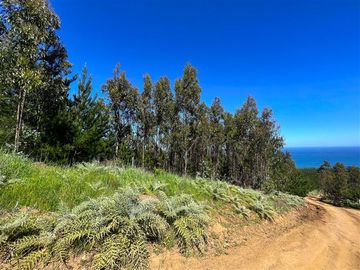 Sitio en Venta en Loteo Fundo Boyeruca, Boyeruca