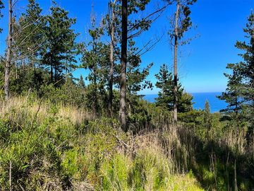 Sitio en Venta en Loteo Fundo Boyeruca, Boyeruca