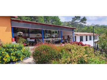 Vendo Finca Cerca Fredonia vía la Mina