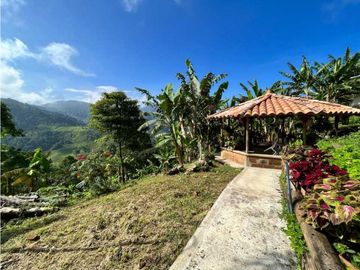Vendo Finca Cerca Fredonia vía la Mina
