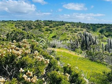 Hermoso terreno en venta Playa Grande Tongoy, cerca Humedal