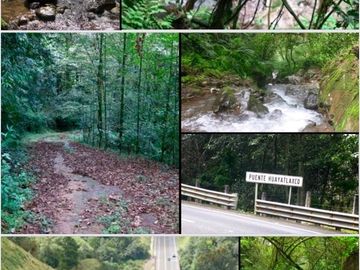 RANCHO EN VENTA EN HUACHINANGO PUEBLA